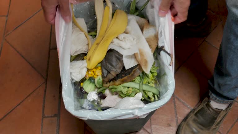 Best Property Management Cleanouts  in Boyne City, MI